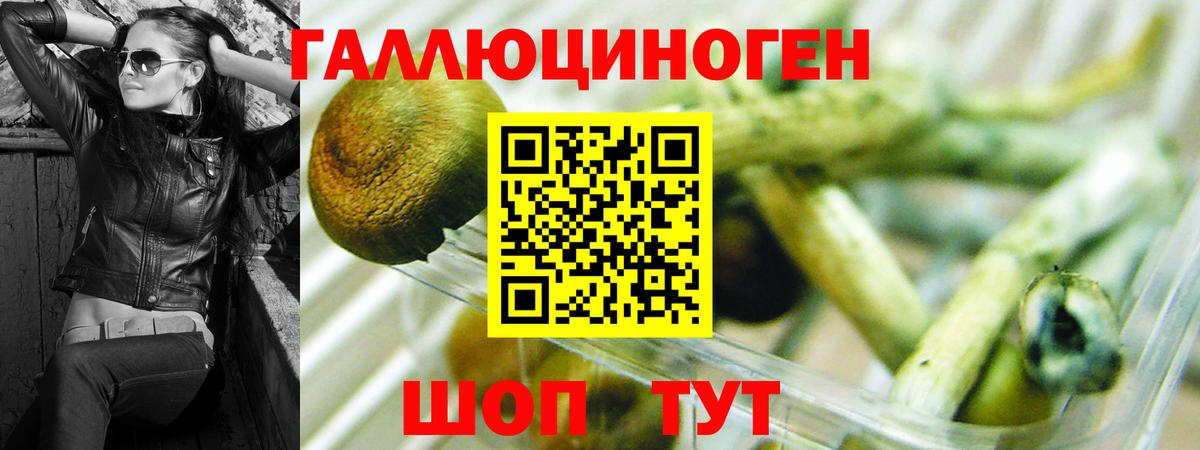 дарнет шоп  Псилоцибиновые грибы Magic Shrooms  Галлюциногенные грибы мухоморы  Вход с VPN  Нарткала 